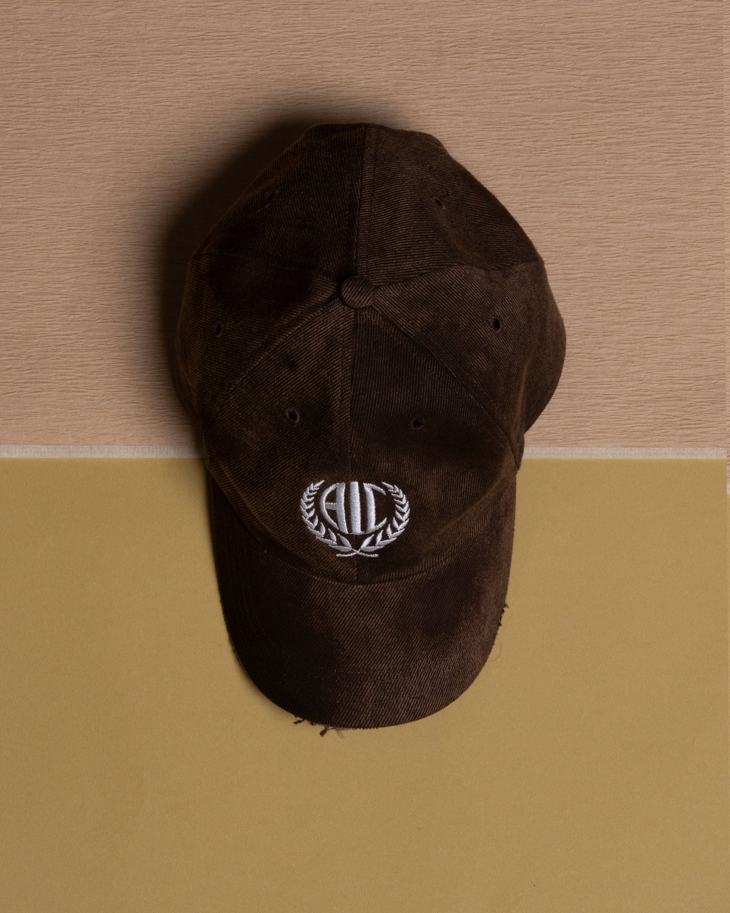 Washed Brown Cap