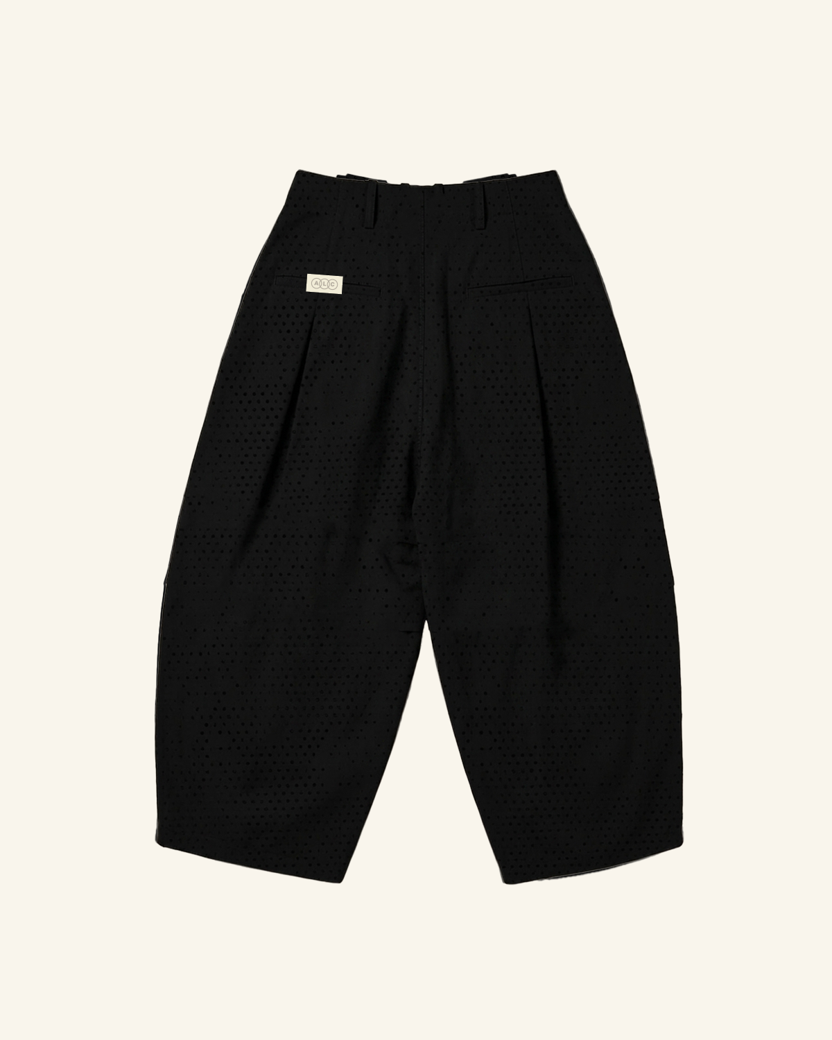 Black Pleated Volume Pants-10