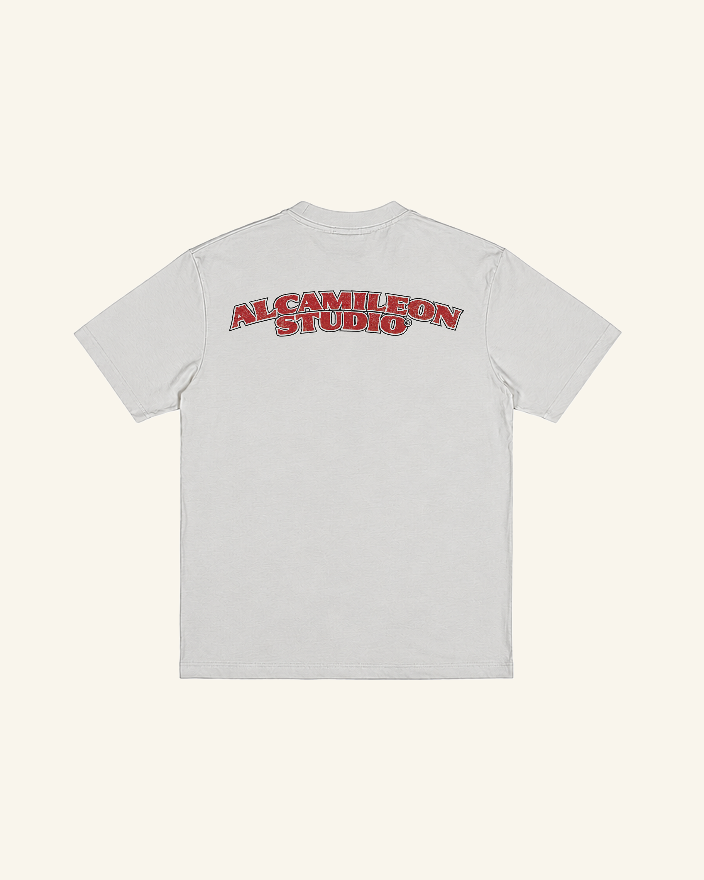 Road To History Washed Grey T-Shirt-2