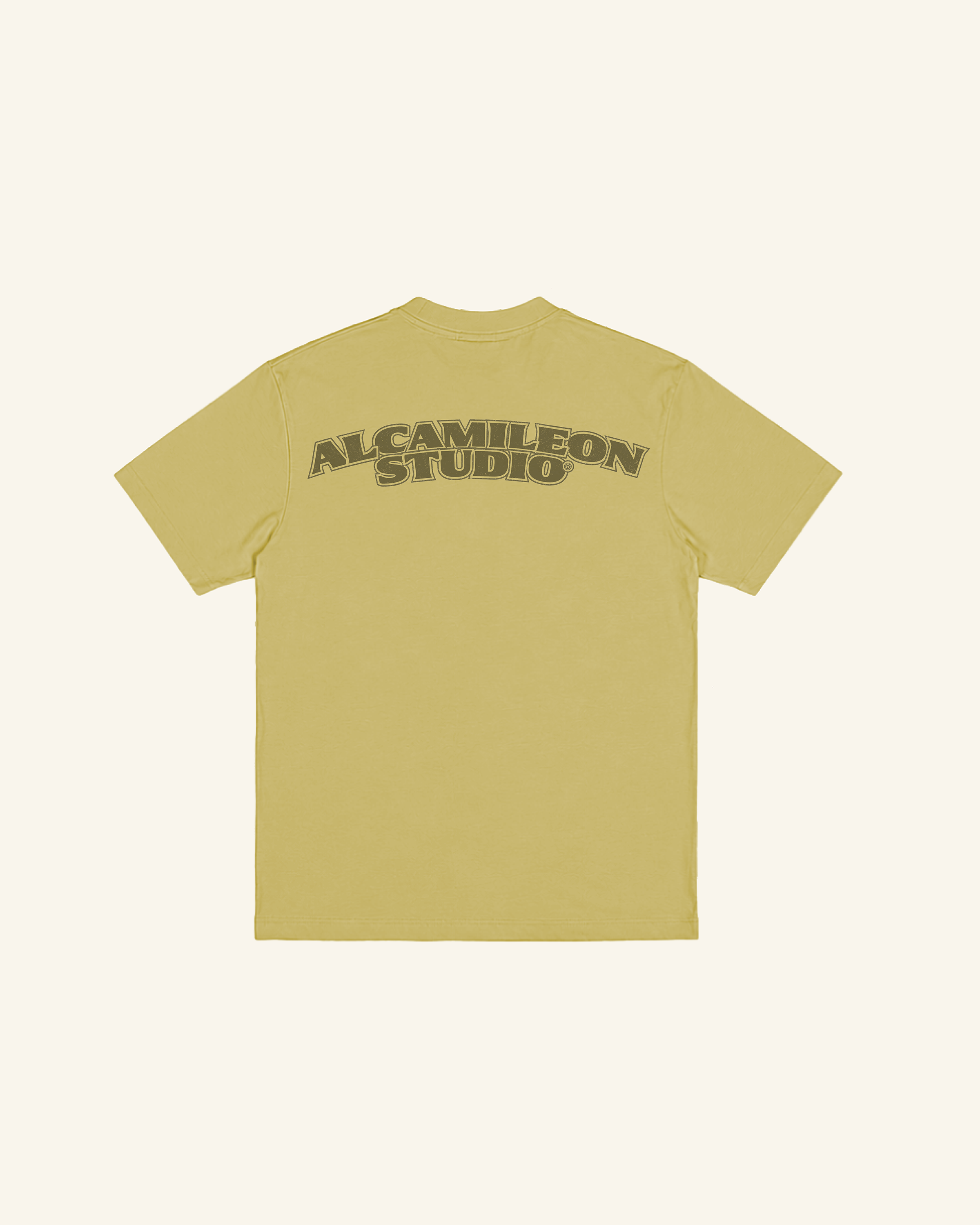 El Luchador Washed Green T-Shirt-2
