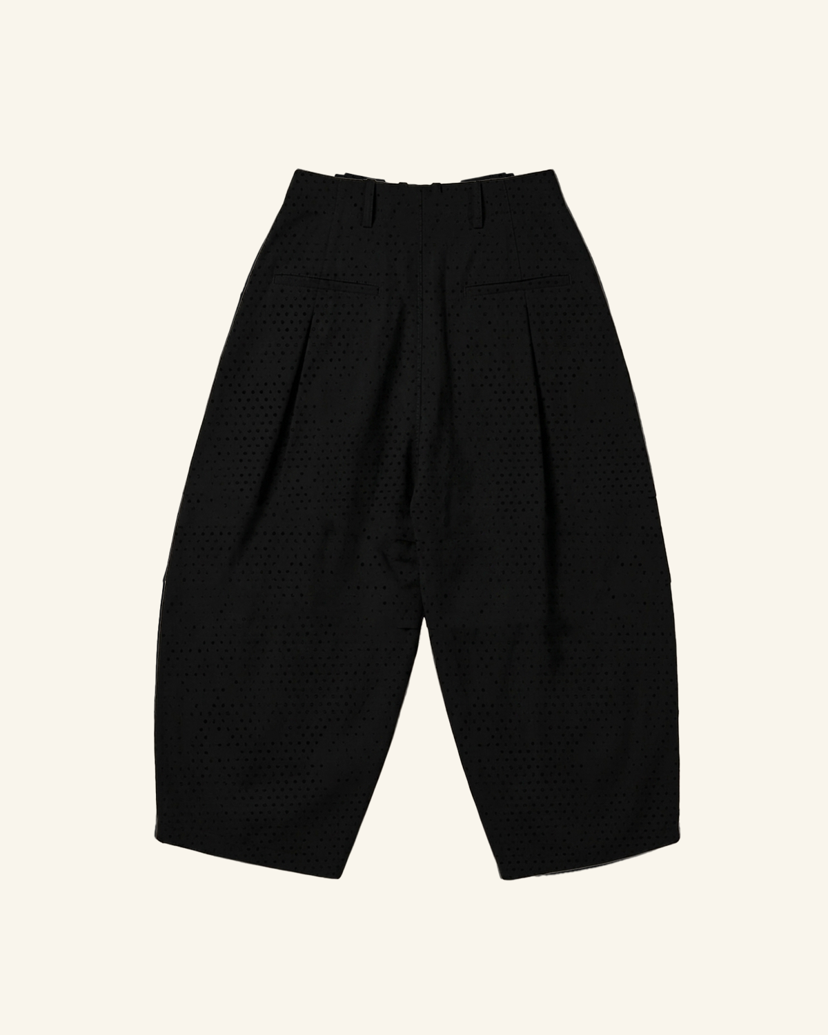 Black Pleated Volume Pants-10