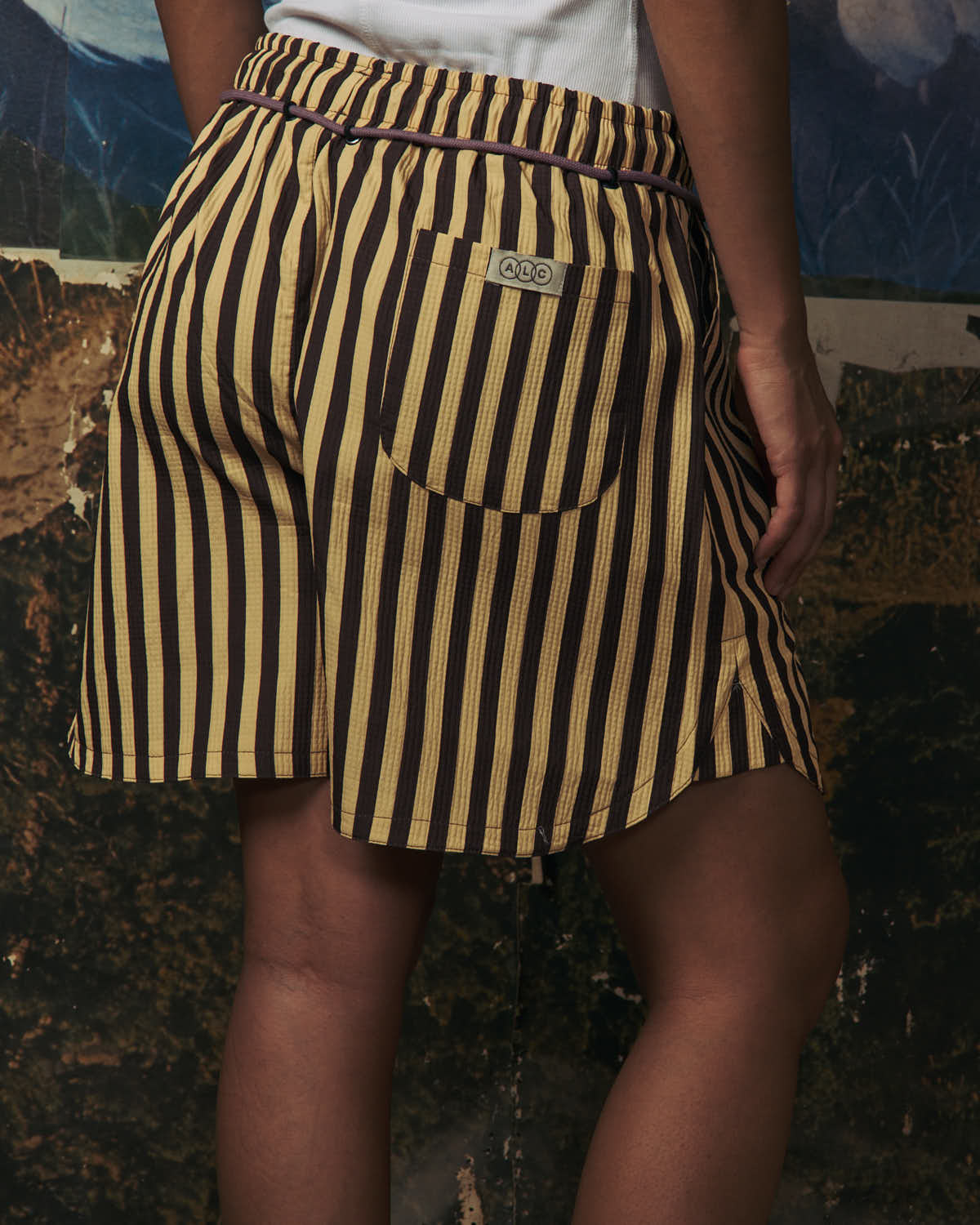 Dune Striped Drawstring Shorts-5